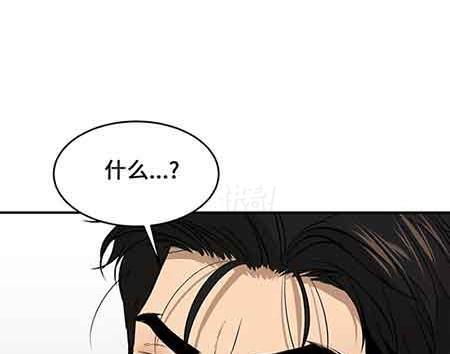 龙与魔法师